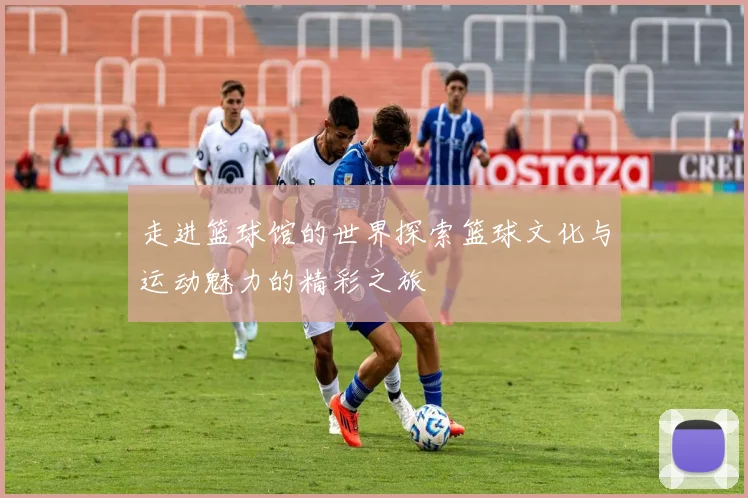 走进篮球馆的世界探索篮球文化与运动魅力的精彩之旅