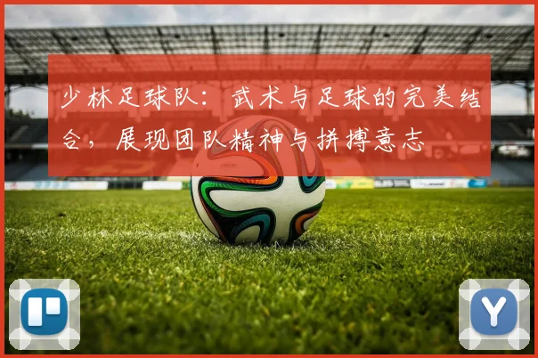 少林足球队：武术与足球的完美结合，展现团队精神与拼搏意志