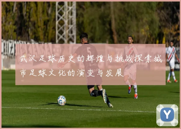 武汉足球历史的辉煌与挑战探索城市足球文化的演变与发展