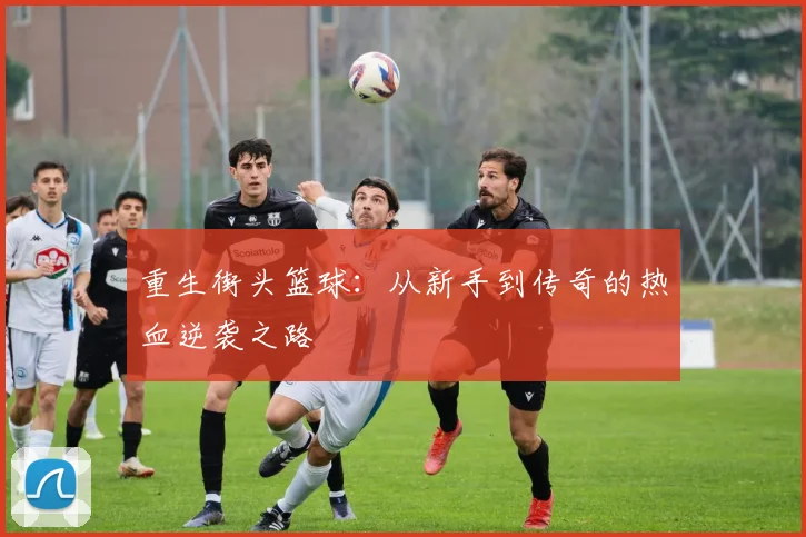 重生街头篮球：从新手到传奇的热血逆袭之路