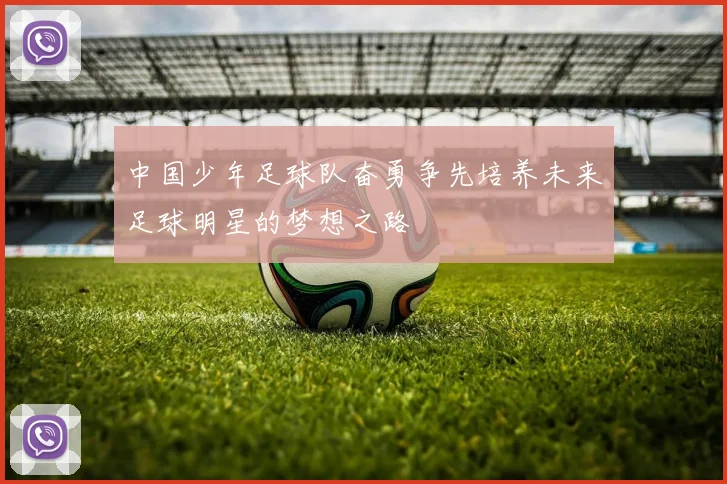 中国少年足球队奋勇争先培养未来足球明星的梦想之路