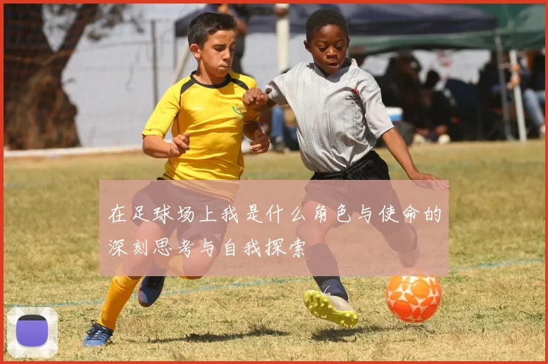 在足球场上我是什么角色与使命的深刻思考与自我探索