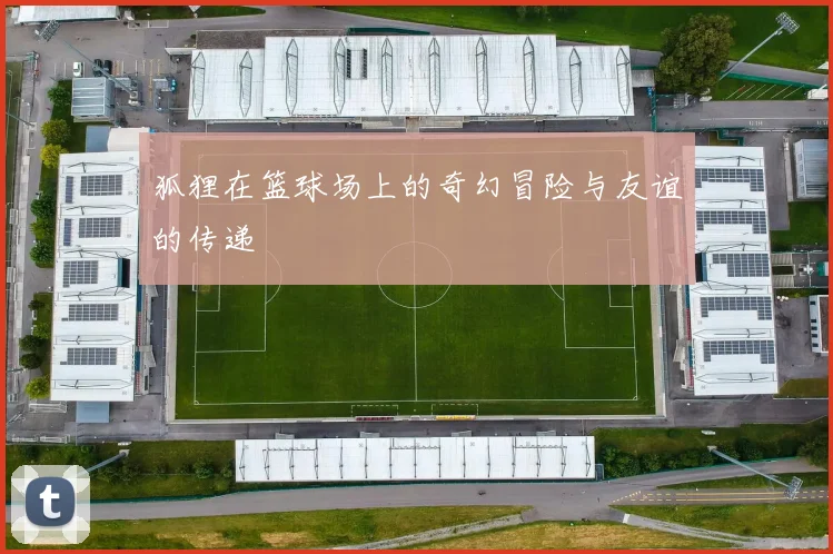狐狸在篮球场上的奇幻冒险与友谊的传递
