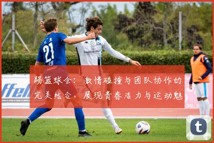 踢篮球会：激情碰撞与团队协作的完美结合，展现青春活力与运动魅力